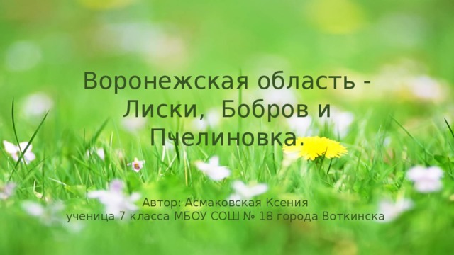 Воронежская область - Лиски, Бобров и Пчелиновка. Автор: Асмаковская Ксения  ученица 7 класса МБОУ СОШ № 18 города Воткинска 