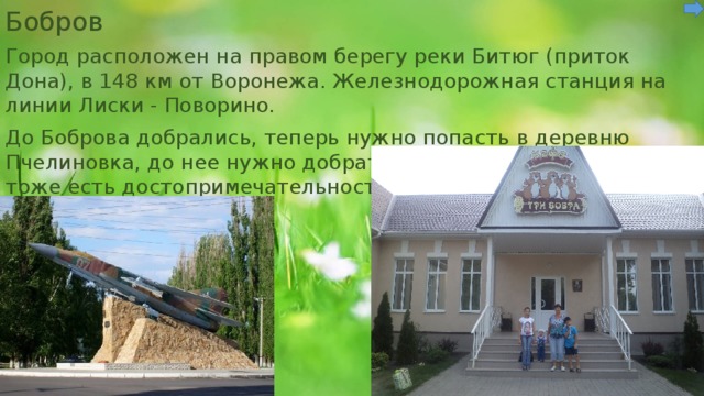 Бобров Город расположен на правом берегу реки Битюг (приток Дона), в 148 км от Воронежа. Железнодорожная станция на линии Лиски - Поворино. До Боброва добрались, теперь нужно попасть в деревню Пчелиновка, до нее нужно добраться через город Бобров, там тоже есть достопримечательности. 1. Самолет 2. Кафе “Три бобра” 