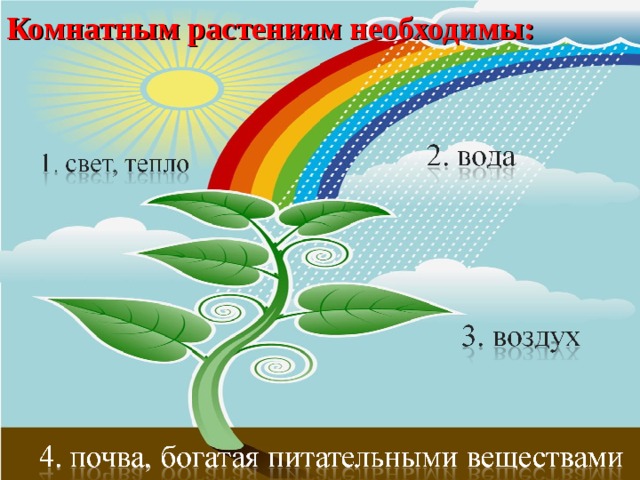 Комнатным растениям необходимы: 