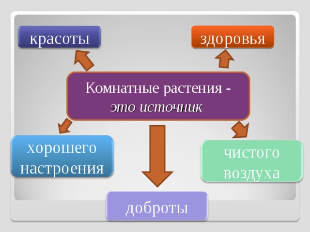 здоровья красоты Комнатные растения - это источник хорошего настроения чистого воздуха доброты 