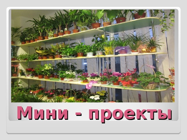 Мини - проекты 