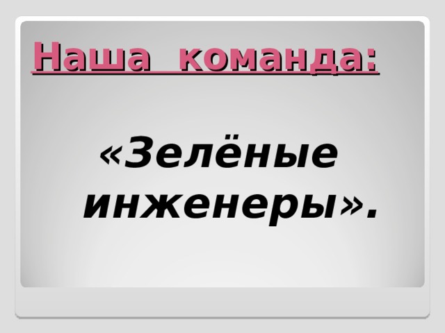 Наша команда:    «Зелёные инженеры».  