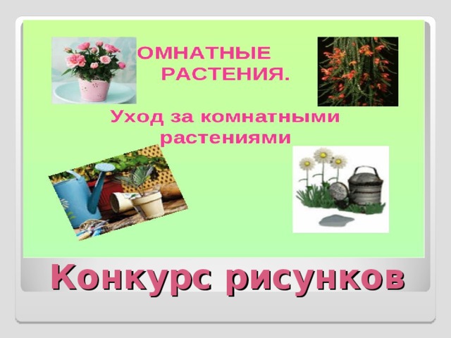 Конкурс рисунков 