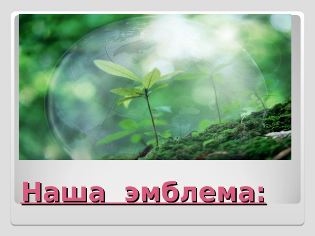 Наша эмблема: 