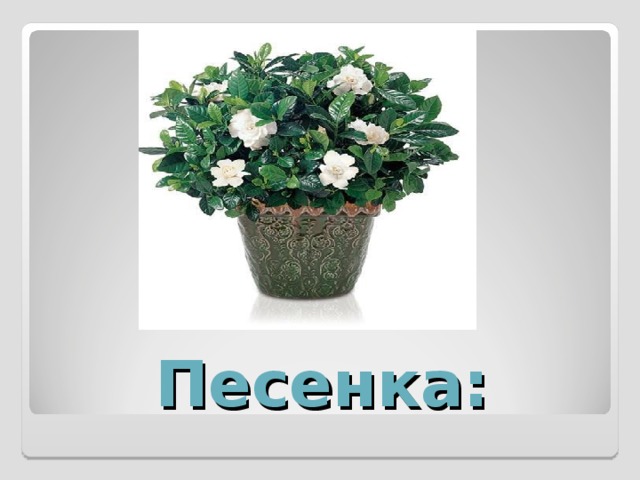 Песенка: 