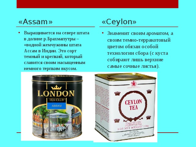 «Assam» «Ceylon»