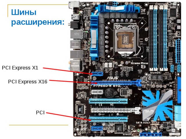 Шины расширения: PCI Express X1 PCI Express X16 PCI 