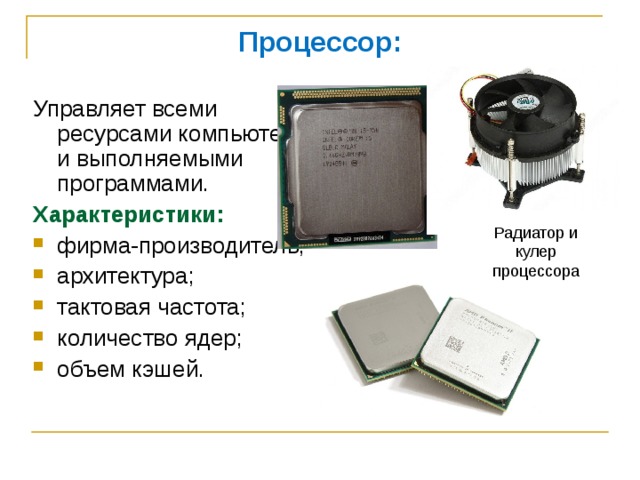 Процессор: Управляет всеми ресурсами компьютера и выполняемыми программами. Характеристики: фирма-производитель; архитектура; тактовая частота; количество ядер; объем кэшей.  Радиатор и кулер процессора 