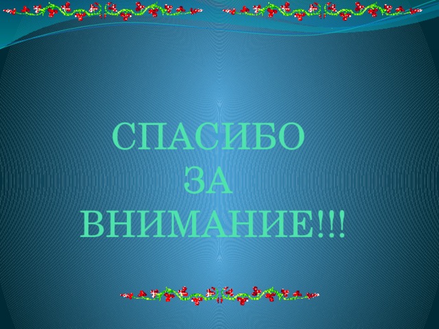 СПАСИБО  ЗА  ВНИМАНИЕ!!! 