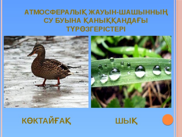 Атмосфералық жауын-шашынның су буына қаныққандағы түрөзгерістері көктайғақ шық 