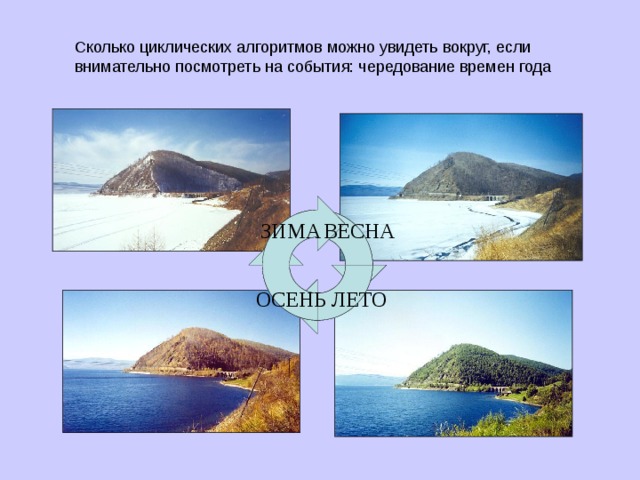 Сколько циклических алгоритмов можно увидеть вокруг, если внимательно посмотреть на события: чередование времен года 