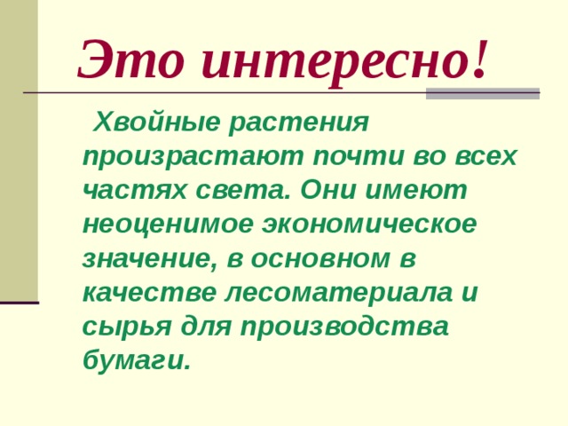  Это интересно!  Хвойные растения произрастают почти во всех частях света. Они имеют неоценимое экономическое значение, в основном в качестве лесоматериала и сырья для производства бумаги. 