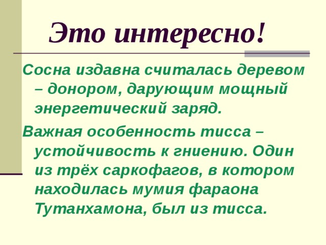  Это интересно! Сосна издавна считалась деревом – донором, дарующим мощный энергетический заряд. Важная особенность тисса – устойчивость к гниению. Один из трёх саркофагов, в котором находилась мумия фараона Тутанхамона, был из тисса. 