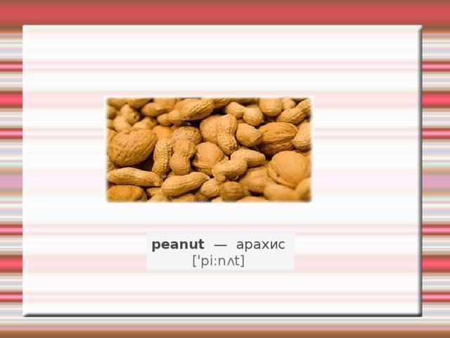 peanut   —   арахис    ['pi:nʌt]   