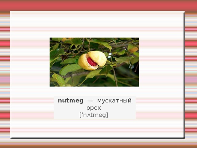 nutmeg   —   мускатный орех    ['nʌtmeg]   