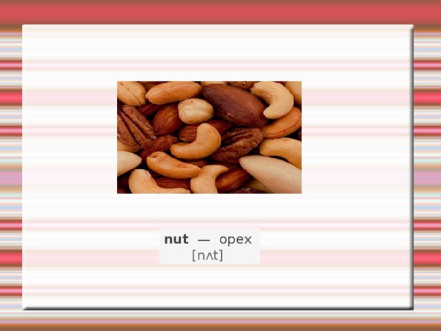 nut   —   орех    [nʌt]   