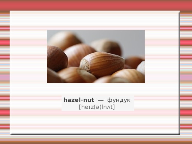 hazel-nut   —   фундук    [heɪz(ə)lnʌt]   