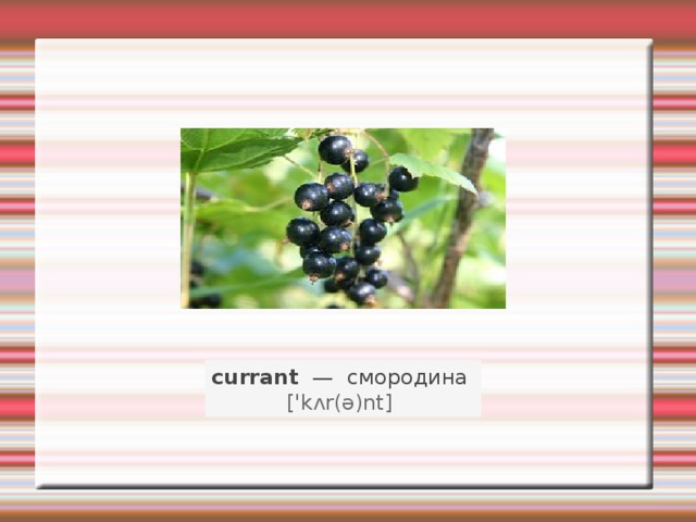 currant   —   смородина    ['kʌr(ə)nt]   