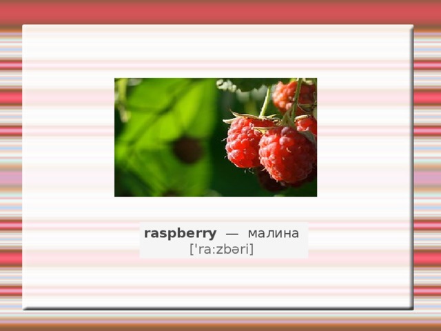raspberry   —   малина    ['ra:zbəri]   