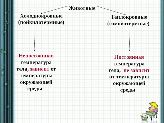 Животные Холоднокровные (пойкилотермные) Теплокровные (гомойотермные) Непостоянная температура тела, зависит от температуры окружающей среды Постоянная температура тела, не зависит от температуры окружающей среды 