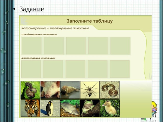 Задание  