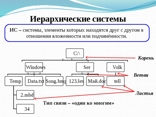 Иерархические системы ИС – системы, элементы которых находятся друг с другом в отношении вложенности или подчинённости. Корень Ветви Листья Тип связи – «один ко многим» 