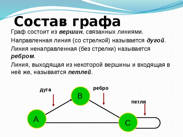 Состав графа Граф состоит из вершин , связанных линиями. Направленная линия (со стрелкой) называется дугой . Линия ненаправленная (без стрелки) называется ребром . Линия, выходящая из некоторой вершины и входящая в неё же, называется петлей . ребро дуга В петля А С 