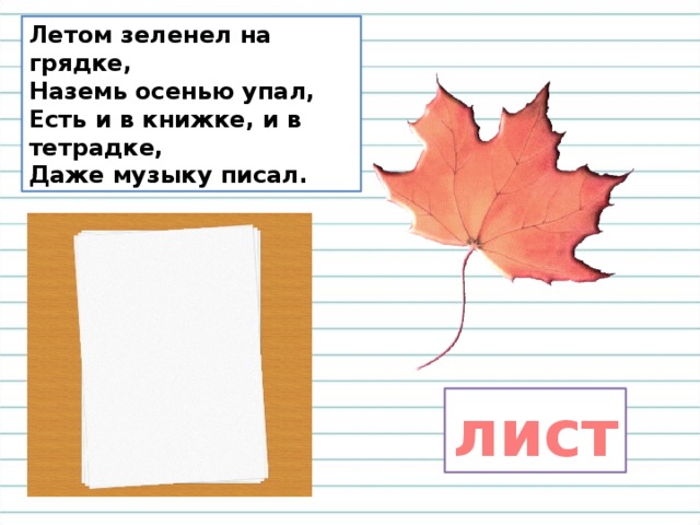 Летом зеленел на грядке,  Наземь осенью упал,  Есть и в книжке, и в тетрадке,  Даже музыку писал. лист 