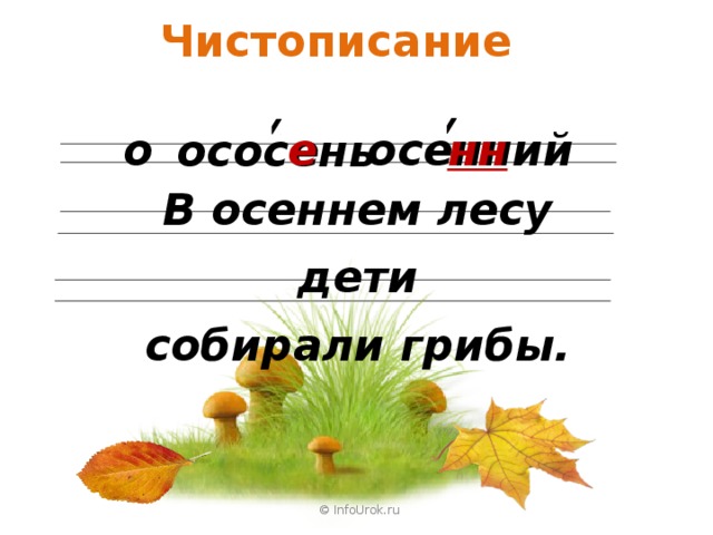 Чистописание о е осенний нн оc осень В осеннем лесу дети собирали грибы. © InfoUrok.ru © InfoUrok.ru 