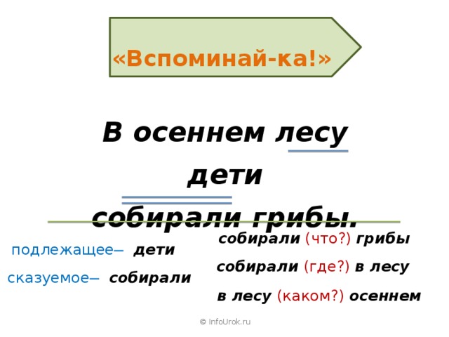 «Вспоминай-ка!» В осеннем лесу дети собирали грибы. собирали  (что?) грибы подлежащее ̶ дети собирали  (где?) в лесу сказуемое ̶ собирали в лесу (каком?) осеннем © InfoUrok.ru 