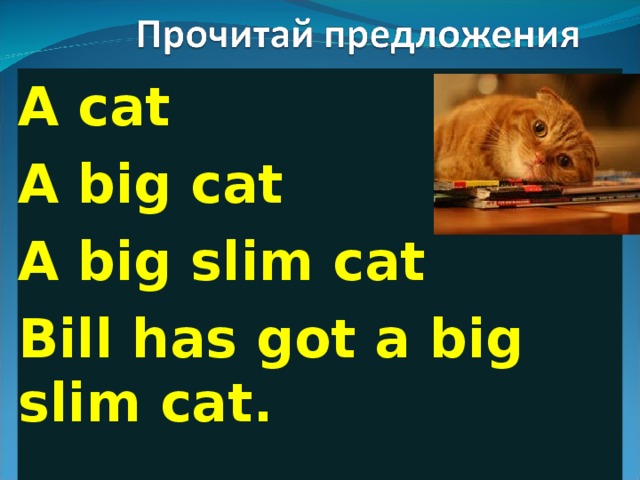 A cat A big cat A big slim cat Bill has got a big slim cat. 