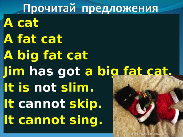 A cat A fat cat A big fat cat Jim has got a big fat cat. It is not slim. It cannot skip. It cannot sing. 
