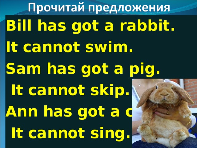 Bill has got a rabbit. It cannot swim. Sam has got a pig.  It cannot skip. Ann has got a cat.  It cannot sing. 