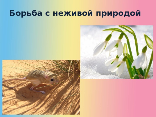 Борьба с неживой природой 