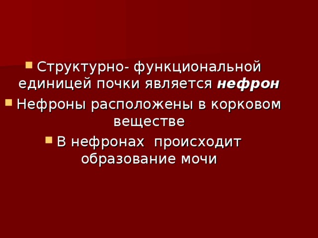 Структурно- функциональной единицей почки является нефрон Нефроны расположены в корковом веществе В нефронах происходит образование мочи 