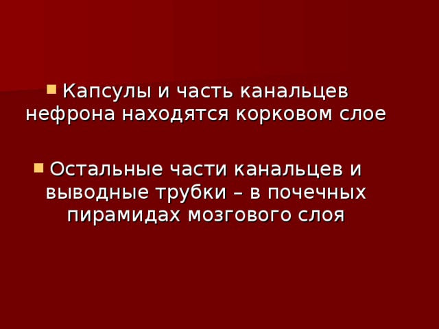 Капсулы и часть канальцев нефрона находятся корковом слое Остальные части канальцев и выводные трубки – в почечных пирамидах мозгового слоя 