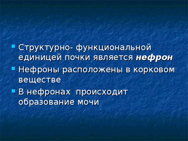 Структурно- функциональной единицей почки является нефрон Нефроны расположены в корковом веществе В нефронах происходит образование мочи 