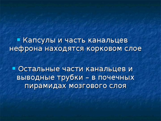Капсулы и часть канальцев нефрона находятся корковом слое Остальные части канальцев и выводные трубки – в почечных пирамидах мозгового слоя 