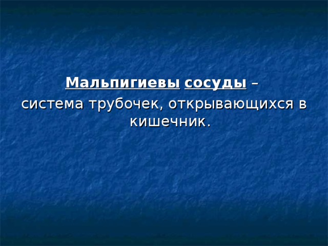 Мальпигиевы  сосуды – система трубочек, открывающихся в кишечник. 