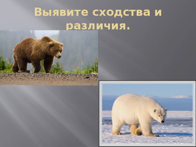Выявите сходства и различия. 