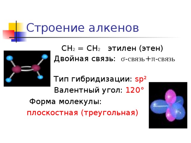 Строение алкенов  СН 2 = СН 2 этилен (этен)  Двойная связь: σ -связь + π -связь     Тип гибридизации: sp ²  Валентный угол: 120 °  Форма молекулы: плоскостная (треугольная)   