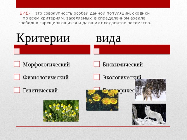 ВИД- это совокупность особей данной популяции, сходной по всем критериям, заселяемых в определенном ареале, свободно скрещивающихся и дающих плодовитое потомство. вида Критерии Биохимический Морфологический Физиологический Экологический Генетический Географический 
