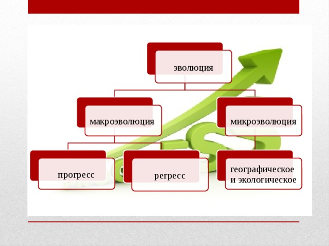 эволюция микроэволюция макроэволюция прогресс регресс географическое и экологическое 
