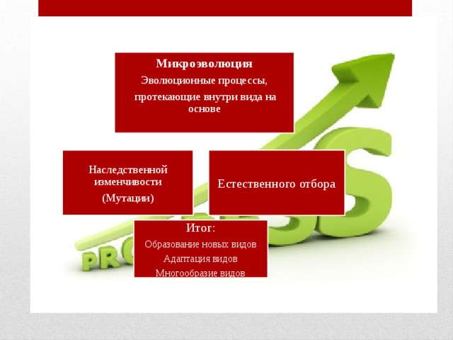 Микроэволюция Эволюционные процессы,  протекающие внутри вида на основе Наследственной изменчивости Естественного отбора (Мутации) Итог: Образование новых видов Адаптация видов Многообразие видов 