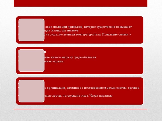 Ароморфоз Возникновение в ходе эволюции признаков, которые существенно повышают уровень организации живых организмов Выход животных на сушу, постоянная температура тела. Появление семени у растений и т.д Возникновение в ходе эволюции признаков, которые существенно повышают уровень организации живых организмов Выход животных на сушу, постоянная температура тела. Появление семени у растений и т.д Идиоадаптация Это приспособление живого мира ку среде обитания Покровительственная окраска Это приспособление живого мира ку среде обитания Покровительственная окраска Дегенерация Резкое упрощение организации, связанное с исчезновением целых систем органов или функций Подземные животные кроты, потерявшие глаза. Черви паразиты Резкое упрощение организации, связанное с исчезновением целых систем органов или функций Подземные животные кроты, потерявшие глаза. Черви паразиты 