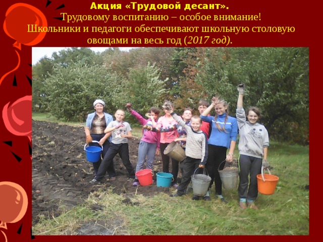 Акция «Трудовой десант».  Трудовому воспитанию – особое внимание!  Школьники и педагоги обеспечивают школьную столовую овощами на весь год ( 2017 год). 