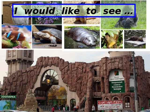 I would like to see …