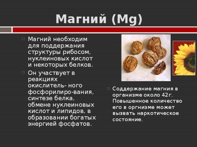  Магний ( Mg ) Магний необходим для поддержания структуры рибосом, нуклеиновых кислот и некоторых белков. Он участвует в реакциях окислитель- ного фосфорилиро-вания, синтезе белка, обмене нуклеиновых кислот и липидов, в образовании богатых энергией фосфатов. Соддержание магния в организме около 42г. Повышенное количество его в оргнизме может вызвать наркотическое состояние. 