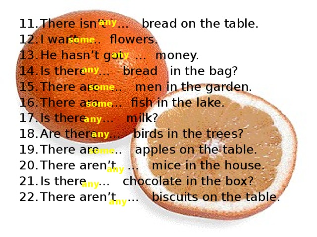 There isn’t … bread on the table. I want … flowers. He hasn’t got … money. Is there … bread in the bag? There are … men in the garden. There are … fish in the lake. Is there … milk? Are there … birds in the trees? There are … apples on the table. There aren’t … mice in the house. Is there … chocolate in the box? There aren’t … biscuits on the table. any some any any some some any any some any any any 
