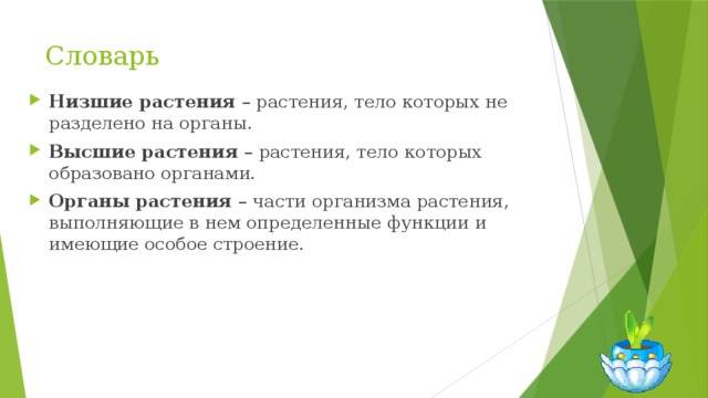 Словарь Низшие растения – растения, тело которых не разделено на органы. Высшие растения – растения, тело которых образовано органами. Органы растения – части организма растения, выполняющие в нем определенные функции и имеющие особое строение. 